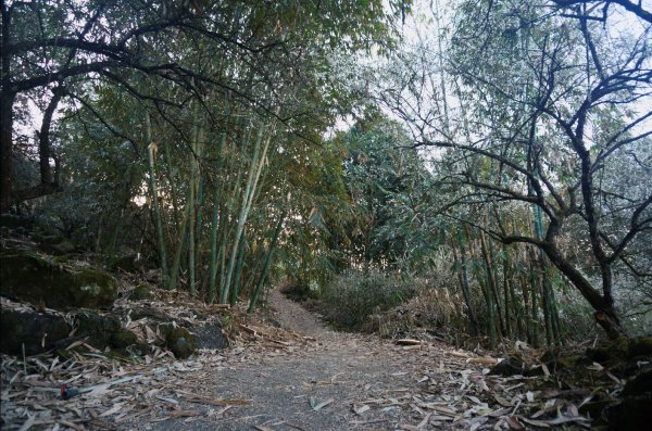 三腳南山登山步道2009919