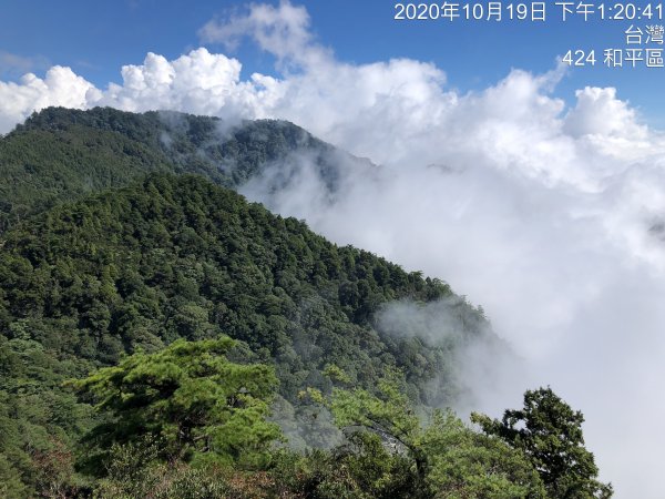 鳶嘴稍來國家步道季秋縱走1144589