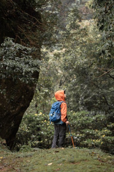 傳說中的「魔神仔洞」| 菁桐古道（汐止段＆平溪段）2721231