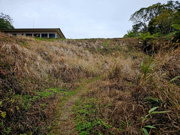 藤枝山-小百岳#68-高雄市桃源區2750322