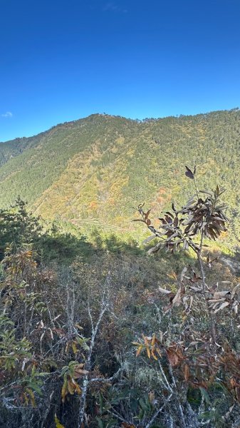 馬武霸下武陵2962383