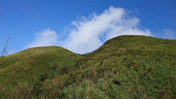 鶯子頂山與鶯子嶺趴趴走417543