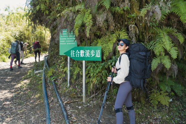 【合歡溪步道】好走來回約4小時，海拔2500M高，溪水寒冰刺骨，櫻花鉤吻鮭棲息地，賽德克巴萊拍攝點2169940