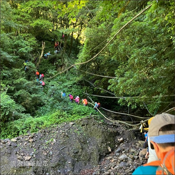 【佐米縱走】走進迷霧森林尋找千歲神木，參加一場巨木群的盛宴2888756