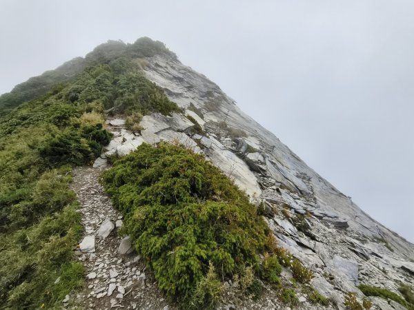 北一段(06/14)巴巴山 2025_0906~132886704