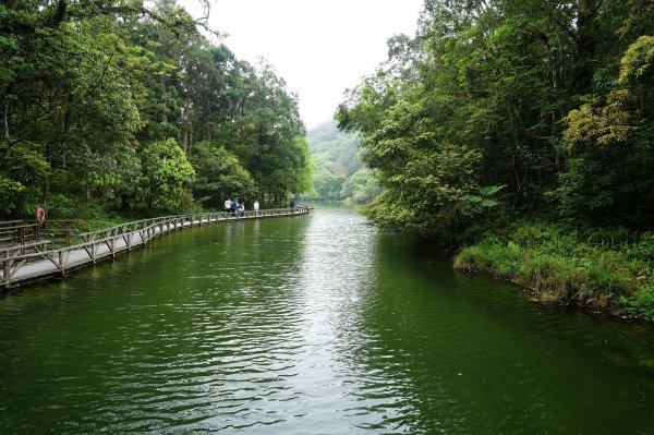 新北 烏來 志良久山3035170