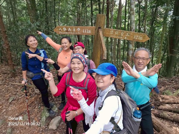 20251219八仙山+佳保台山(谷關三雌)2974429