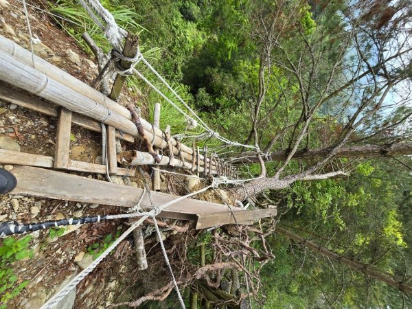 台中大坑4號登山步道2751104