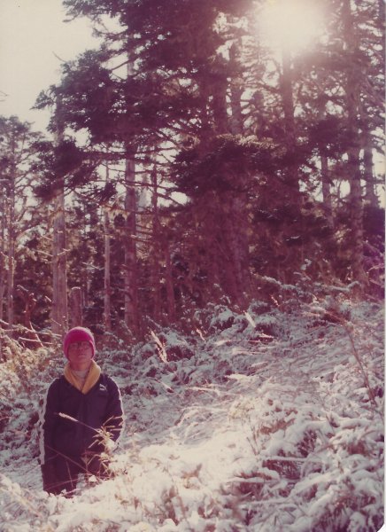 雪山主東峰賞雪行(民國71年)711198