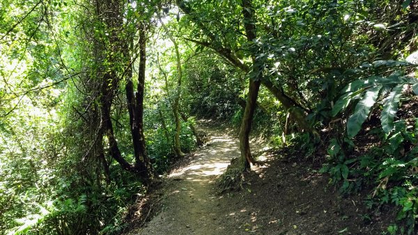 串珠步道,二砂灣砲台,大砂灣西東砲台,綠丘砲台,基隆塔2257505