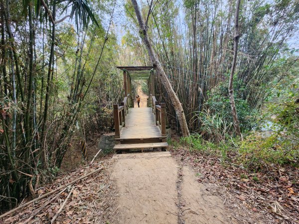 20260125口山步道2995135