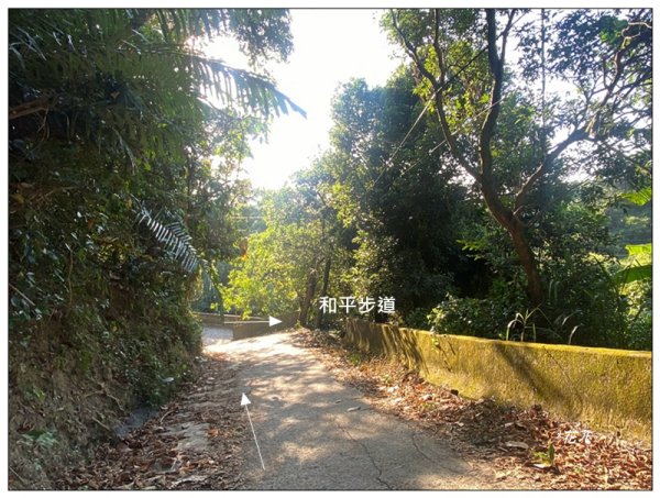 軍功寮山、大坑9、7、6、9-1步道 O型一圈2950804