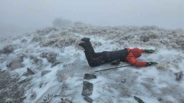 20250319～20嘉明湖國家步道🥶🥶🥶殘念😭2739758