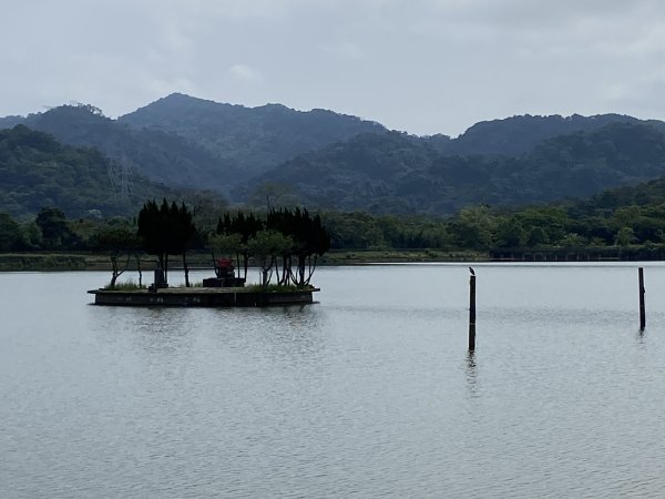 大艽芎古道登溪洲山| Mt.Xizhou |水中土地公廟|峯花雪月2502360