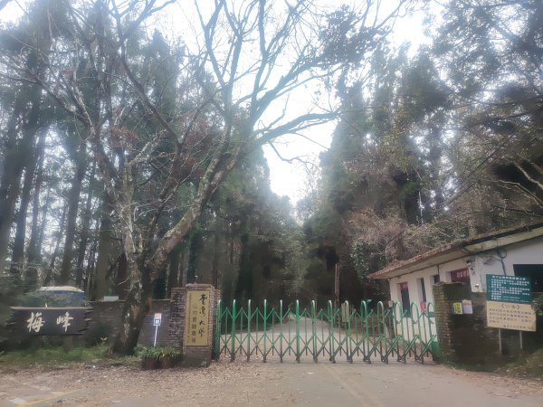 立鷹山森林步道2701094