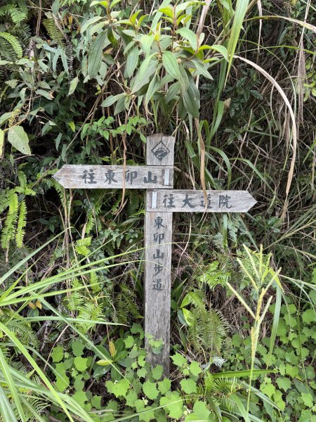 東卯山 22刷 202607253090896