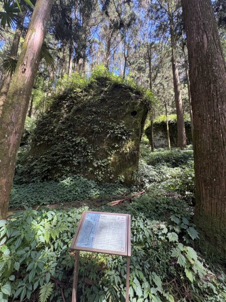 20251004嘉義奮起湖大凍山步道(頂湖)2914915