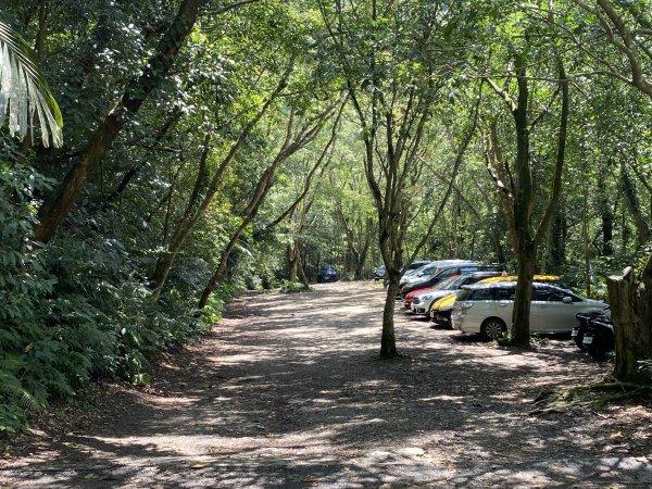 《探訪熊空秘境｜新北三峽雲森瀑布沁涼體驗》2878460