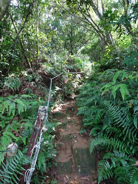 台灣小百岳第17座台北文山-二格山三角點1069125