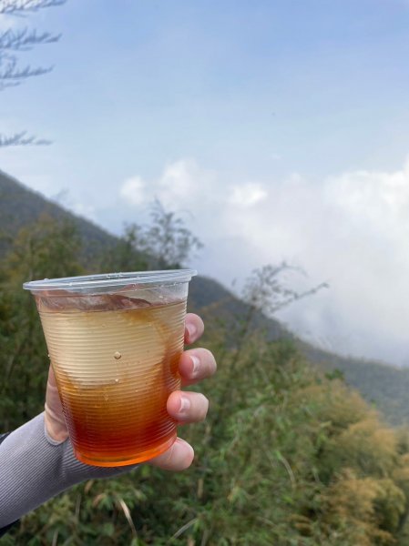 230416-小百岳#057 梨子腳山。18禁-竟能在茶樹上偶遇黑線黃尺蛾。美美兔O繞走成8字。2117347