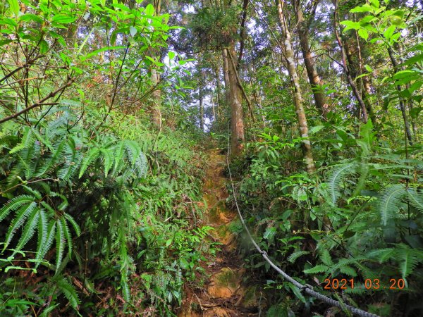 宜蘭 員山 阿玉山1313881