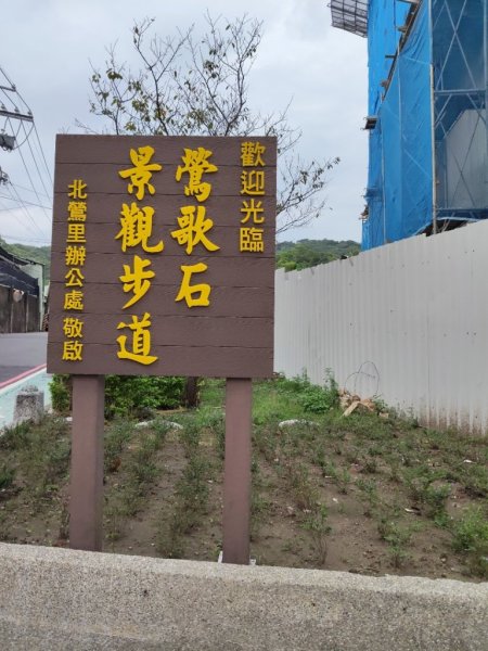 微笑山線：【大棟山系】百年大溶樹的2937019