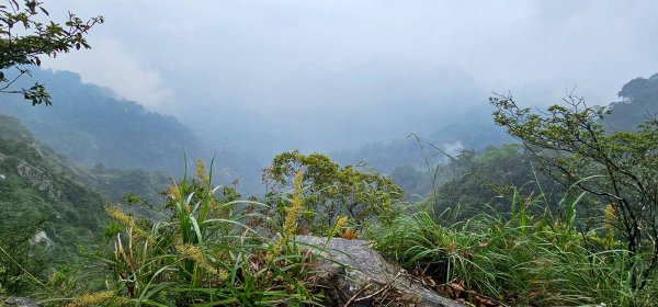 石壁山&嘉南雲峰2876445