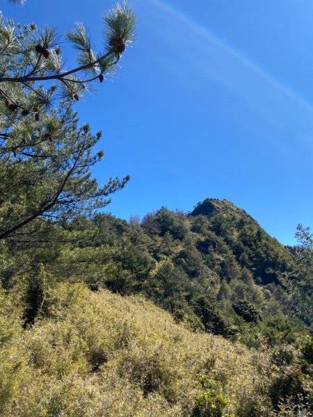 2020/02/25郡大山852082