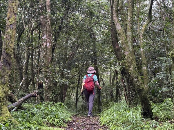 獅仔頭山 2025.07.202864273