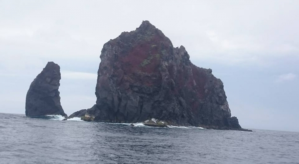 ２０１６０５２２北方三島生態考察43871