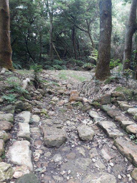 紫明溪步道2195342