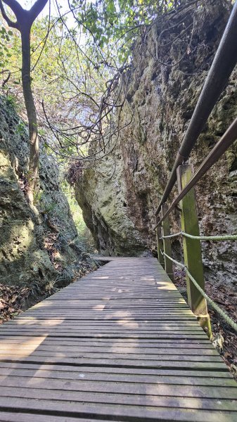 【柴山、壽山、萬壽山，到底哪個才是你！🤣🤣】走一座可以映照出高雄不同時期歷史軌跡的山。3025847