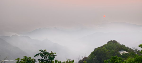 #山羌 #親子檔 #二格山 #日出 #雲海 #晨霧 4/113033439