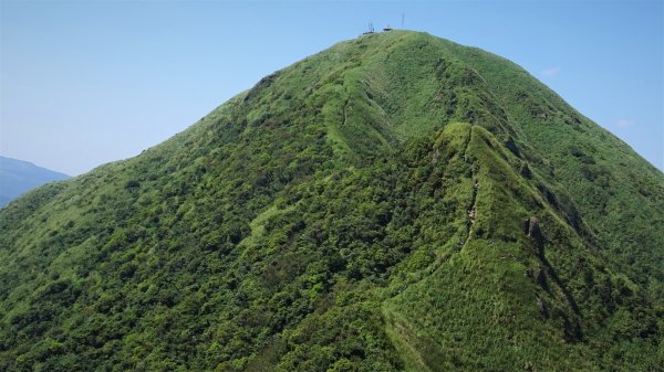 山海絕色濂洞國小陡上黃金一稜O型走1078205