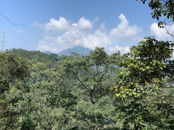 20260925南投銃櫃山-後尖山-土地公鞍嶺3128903