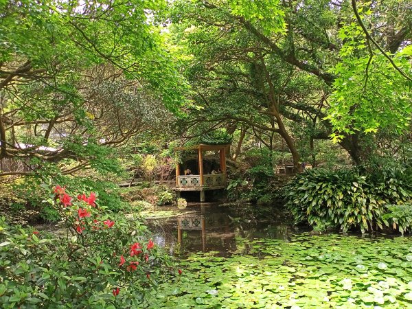 陽明醫院舊址、陽明山前山公園、紗帽山步道、紗帽路、臺北市教師研習中心【走遍陽明山】2121929