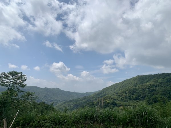 坪頂古圳親山步道1690067