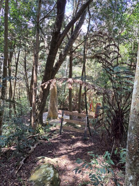 小出山(惠蓀林場上)202304162118348