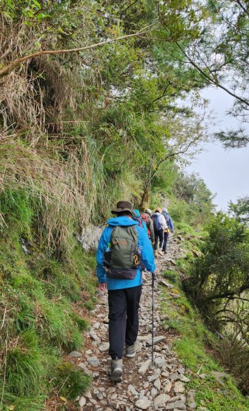 玉山前峰，關子嶺大凍山，宜蘭拳頭姆自然步道2313380