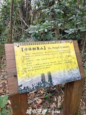 【屏東來義】小百岳棚集山x棚集下山O 繞3013073