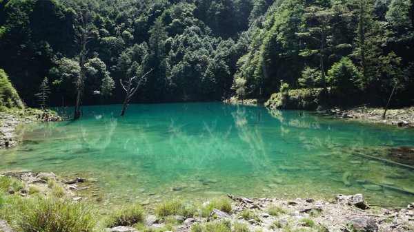 雨季限定版神池（小關山林道）2271637