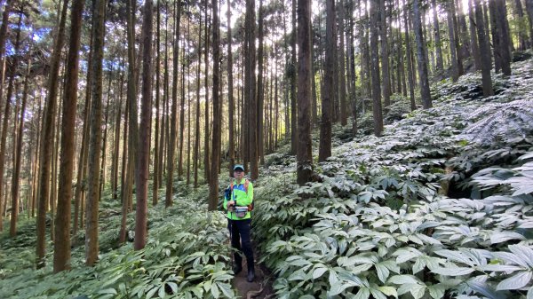 賽夏族區的向天湖山| Xiangtianhu |矮靈祭|峯花雪月2408454