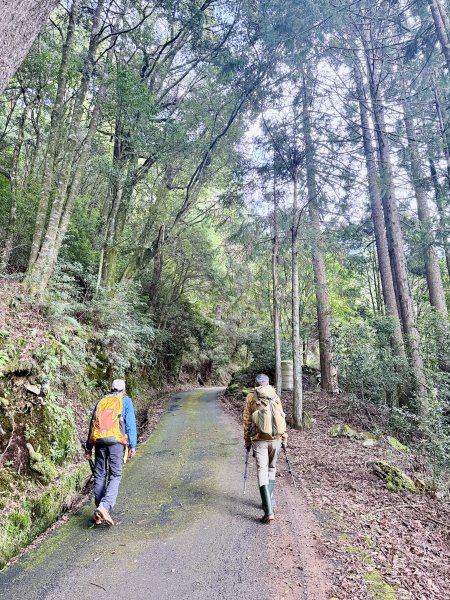 船型山神木悠遊    2025.09.222893806