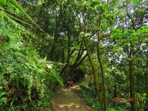 臺北 內湖 龍船岩、開眼山924798