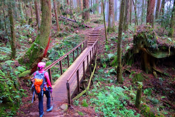 迷霧幽幽~特富野古道691939