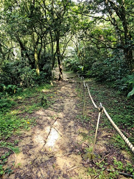 (五分山系)望古瀑布-2025微笑山線大縱走尋寶集章任務2855272