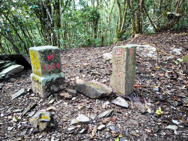 2026-02-08 藤枝山2998440