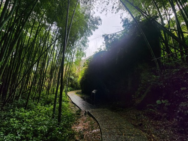 20250719頂湖上大凍山2907159