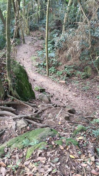 20251004 馬那邦山 - 珠湖 登山口2904772