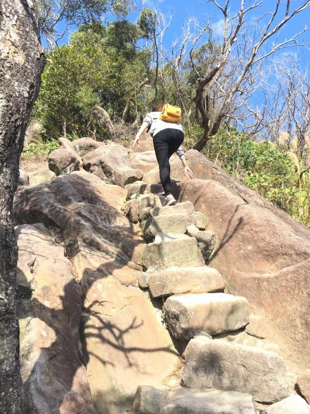 20170215金面山297699